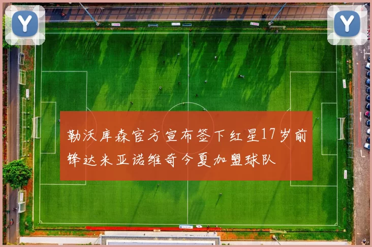 勒沃库森官方宣布签下红星17岁前锋达米亚诺维奇今夏加盟球队
